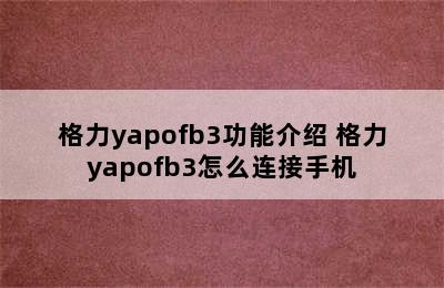 格力yapofb3功能介绍 格力yapofb3怎么连接手机